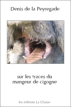 sur les traces du mangeur de cigogne