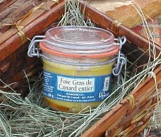 Suggestion de présentation