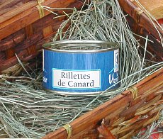 Suggestion de présentation